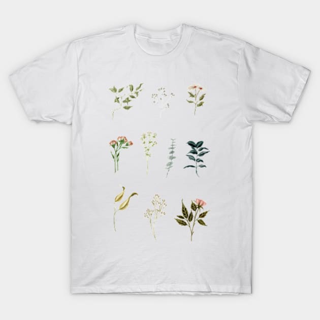 Delicate Botanical Pieces T-Shirt by ShealeenLouise